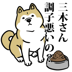 三木リスペクト（プラチナ）