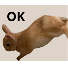 ryuki_20230227195615