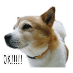 Ruru_20230227154710