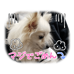 nao_20230228002233