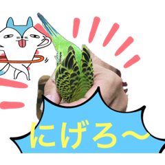 yugecchi_20230228112532