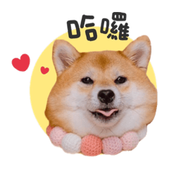 Q醬家2