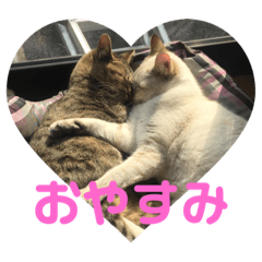 suzu_20230227214807