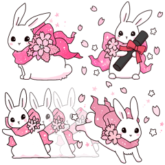 Star flower Rabbit Spring