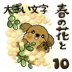 プードル犬 10『大きめ文字＆春の花』