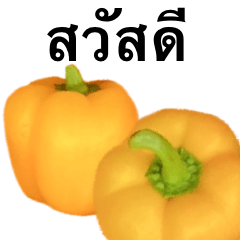黄 パプリカ です　タイ語　ピーマン　野菜