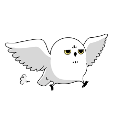 Shinsaibashi Owl Cafe Chouette/snowy owl