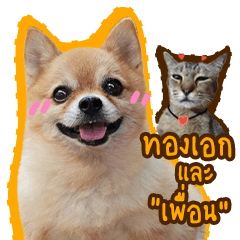 Thong-Ake dog and friend