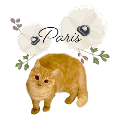 Sticker of Paris