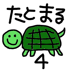 with turtle life4