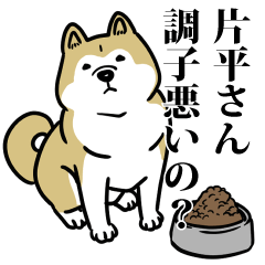 片平リスペクト（プラチナ）