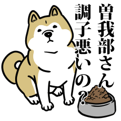 曽我部リスペクト（プラチナ）