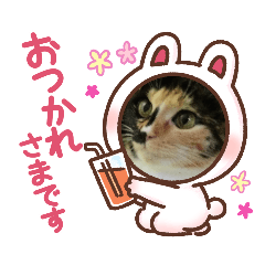 sakura_20230228201129