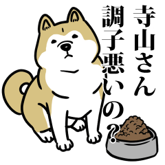 寺山リスペクト（プラチナ）