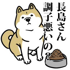 長島リスペクト（プラチナ）