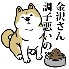 金沢リスペクト（プラチナ）