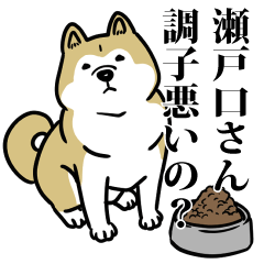 瀬戸口リスペクト（プラチナ）