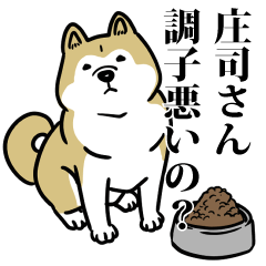 庄司リスペクト（プラチナ）