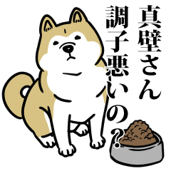 真壁リスペクト（プラチナ）
