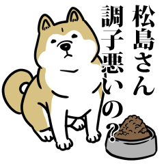 松島リスペクト（プラチナ）