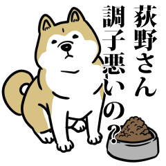 荻野リスペクト（プラチナ）