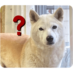 nozomi_20230228230240