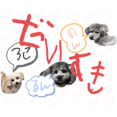 LUN_20230301012341