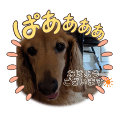 megumin._20230228231218 – LINE貼圖 | LINE STORE