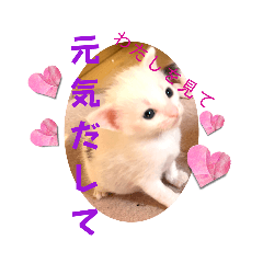 hana_20230228211800