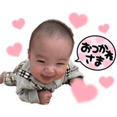 ommochii