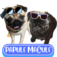 WOOFME WITH PAPULE AND MACULE