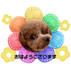 Mizuki_20230301112322