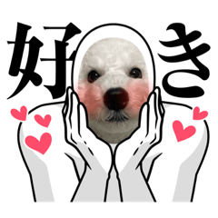 omochi_20230301113100