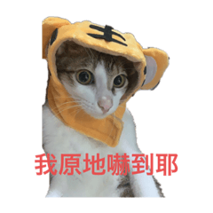 叮噹雙猴