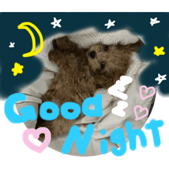 natsumi_20230301135414