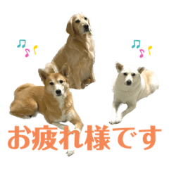 YuKa_20230301140520