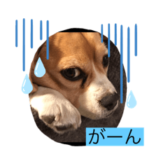 hana_20230301160347