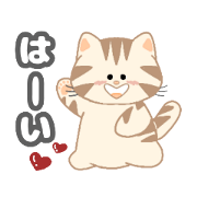 a daily life [cat cat cat ]