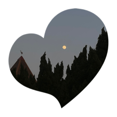 hikari_20230301181529