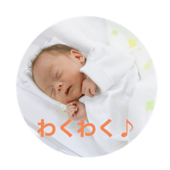 shiho_20230301205334