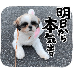 Kana_20230301194330