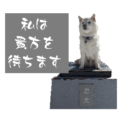 tomomi_20230301190757