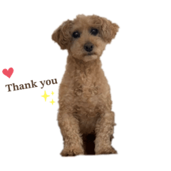 hana_20230301195241