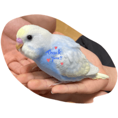 sunny_20230301221403