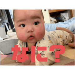 Hikari_20230301230216