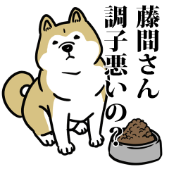 藤間リスペクト（プラチナ）