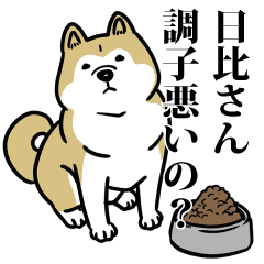 日比リスペクト（プラチナ）