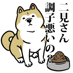 二見リスペクト（プラチナ）