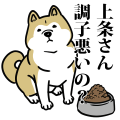 上条リスペクト（プラチナ）