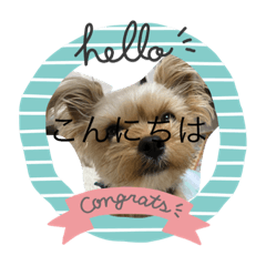 Chiro12,28